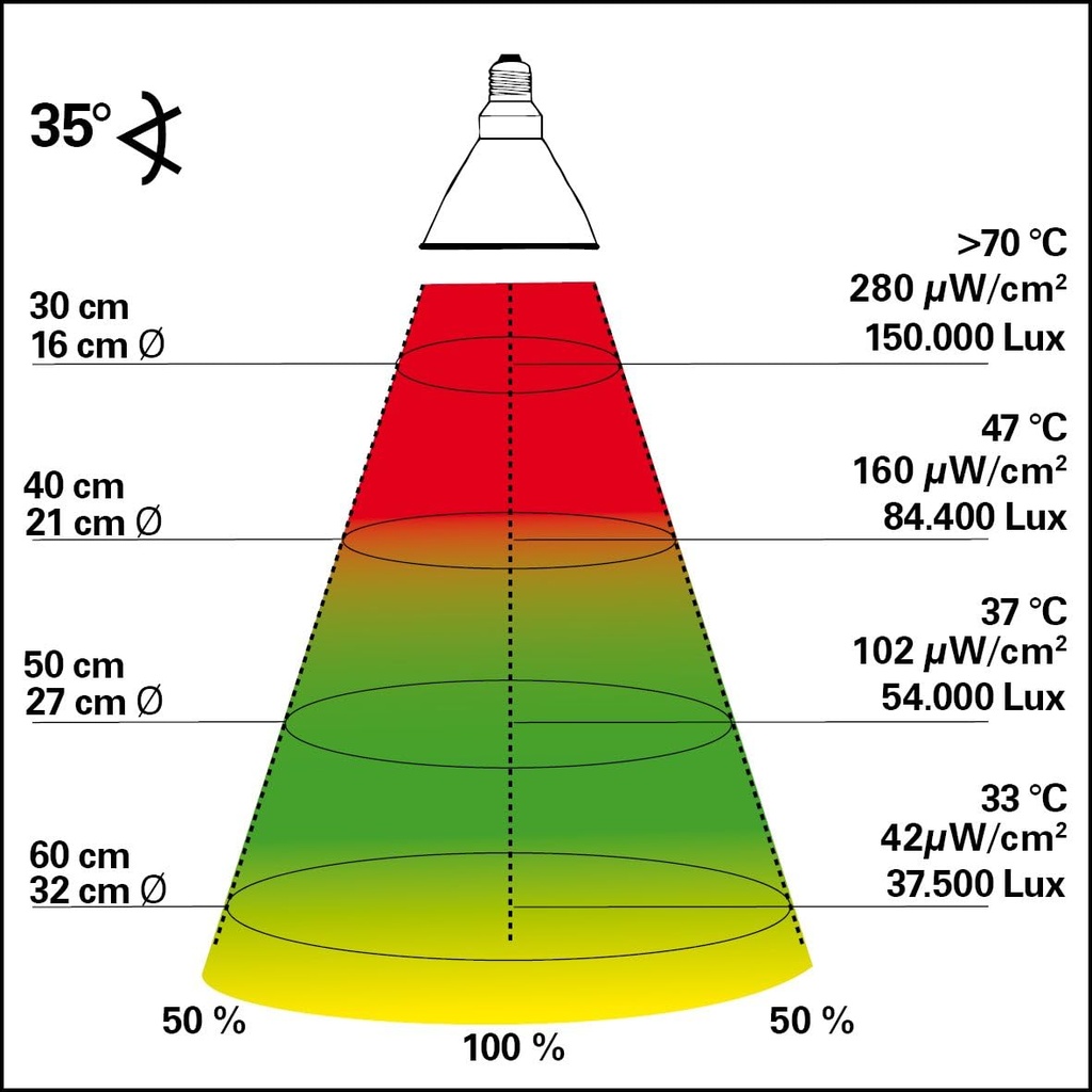 71y8scYkgTL._AC_SL1181_.jpg