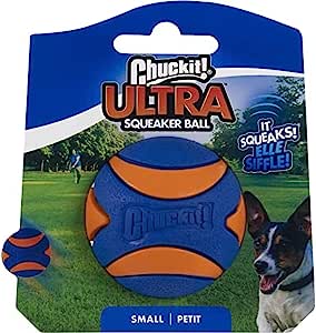 Chuckit! CH52070 Ultra Squeaker Ball Small 1-pack