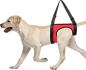 Transportator de câine din spate, curea de sprijin pentru câine curea pentru animale de companie Ajutor de mers pe jos Ridicarea de ridicare Tragere Vest de stabilitate pentru a îmbunătăți hamul de câine Optim reglabil la dimensiunea corpului dvs. pentru câini vechi și răniți